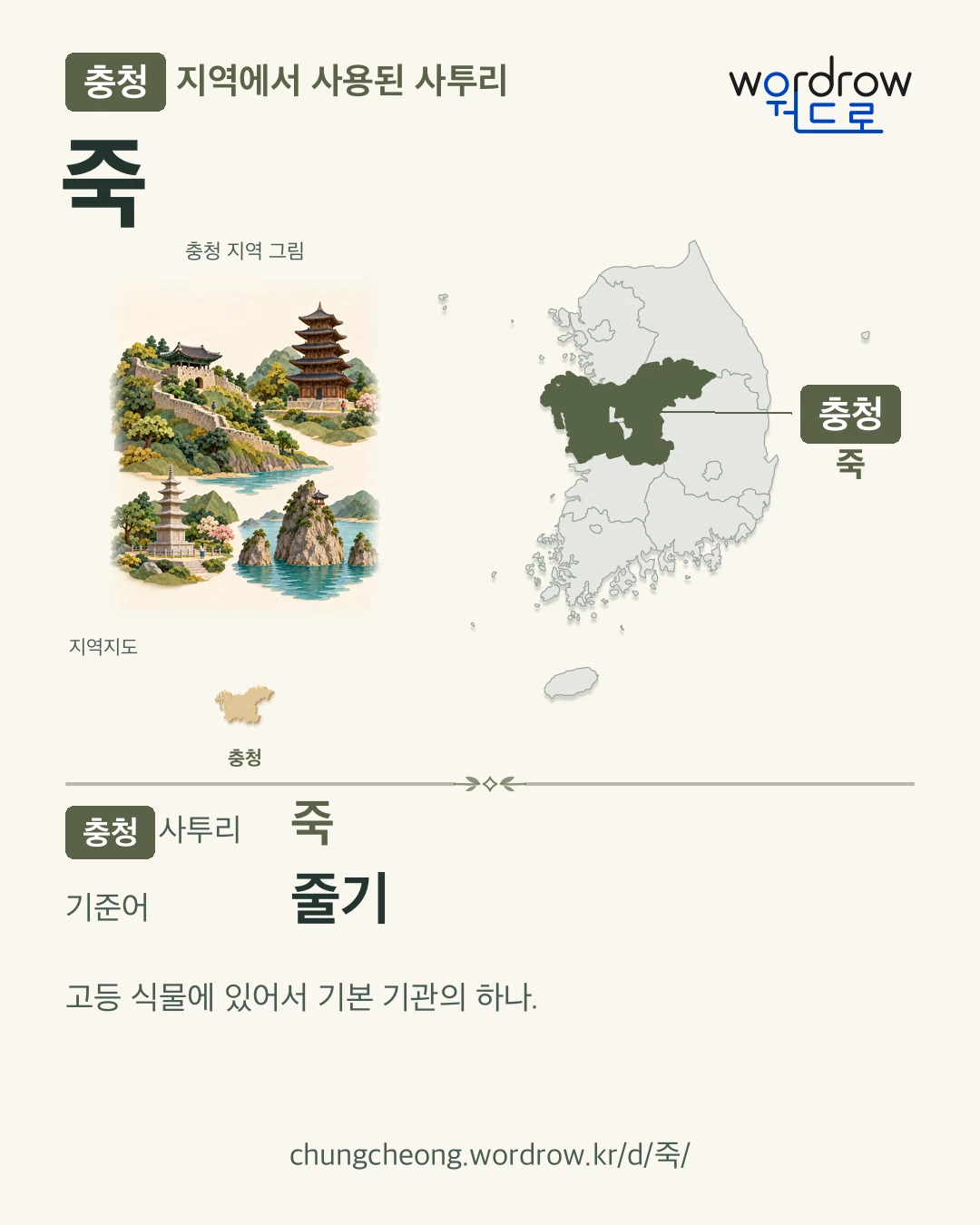 충청 지역에서 사용된 사투리 ‘죽’. 기준어: 줄기. 기록 지역을 표시한 지역 그림과 지도 카드.