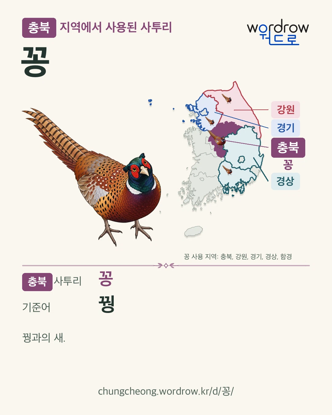 충북 지역에서 사용된 사투리 ‘꽁’. 기준어: 꿩. 기록 지역을 표시한 카툰 삽화와 지도 카드.