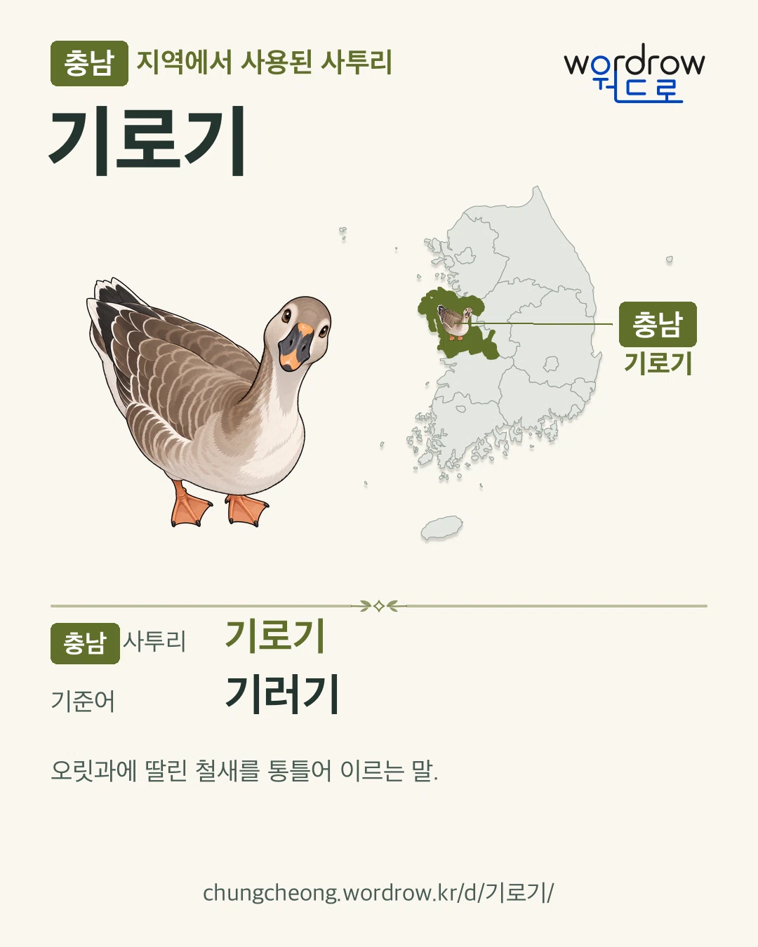 충남 지역에서 사용된 사투리 ‘기로기’. 기준어: 기러기. 기록 지역을 표시한 카툰 삽화와 지도 카드.