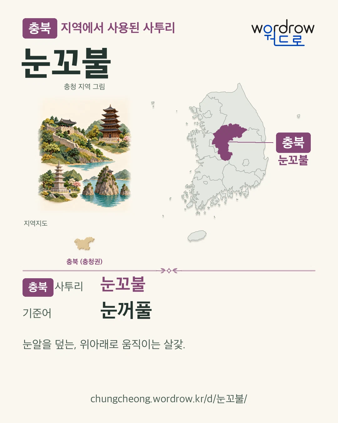 충북 지역에서 사용된 사투리 ‘눈꼬불’. 기준어: 눈꺼풀. 기록 지역을 표시한 지역 그림과 지도 카드.