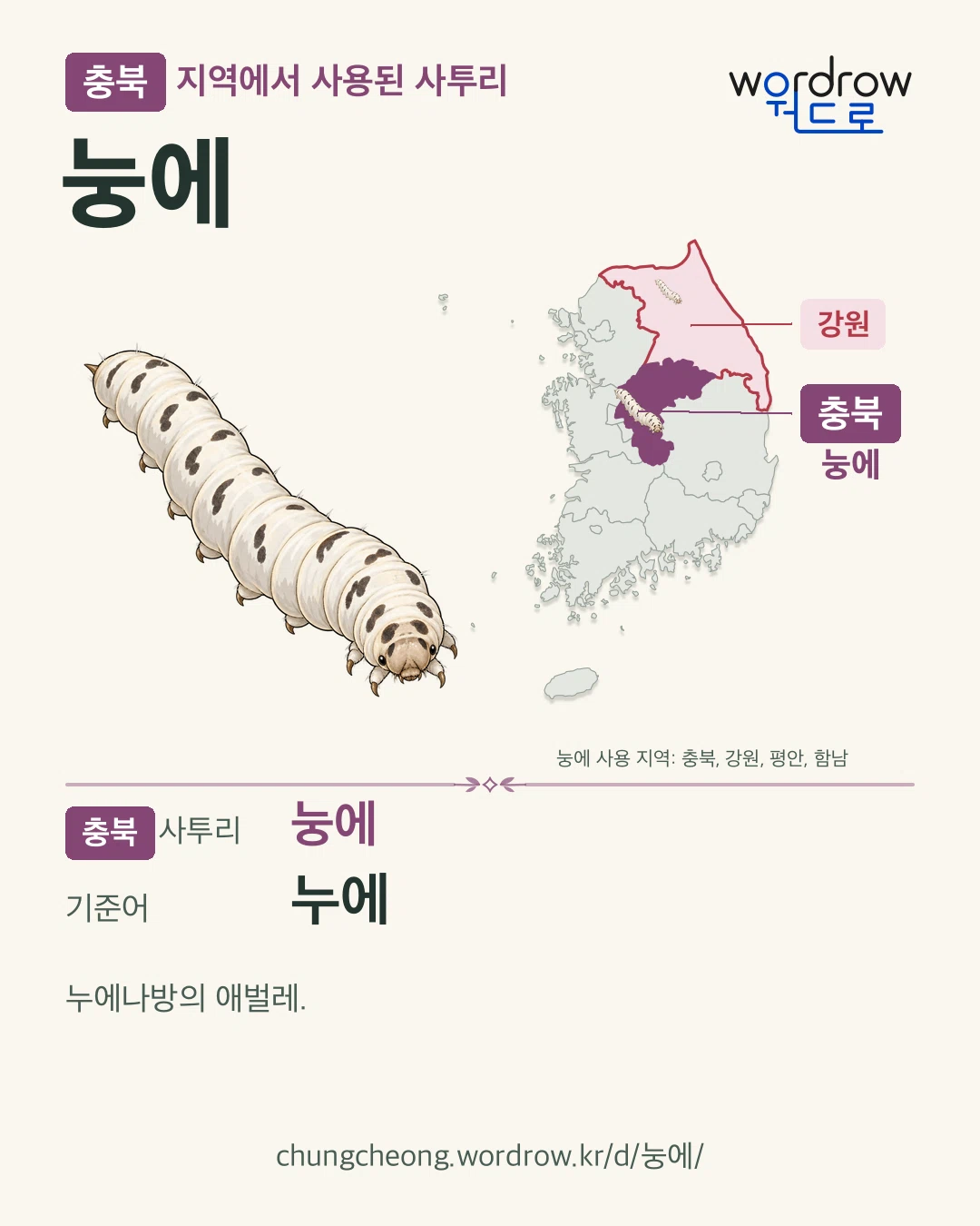 충북 지역에서 사용된 사투리 ‘눙에’. 기준어: 누에. 기록 지역을 표시한 카툰 삽화와 지도 카드.