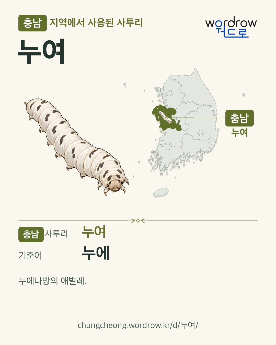 충남 지역에서 사용된 사투리 ‘누여’. 기준어: 누에. 기록 지역을 표시한 카툰 삽화와 지도 카드.