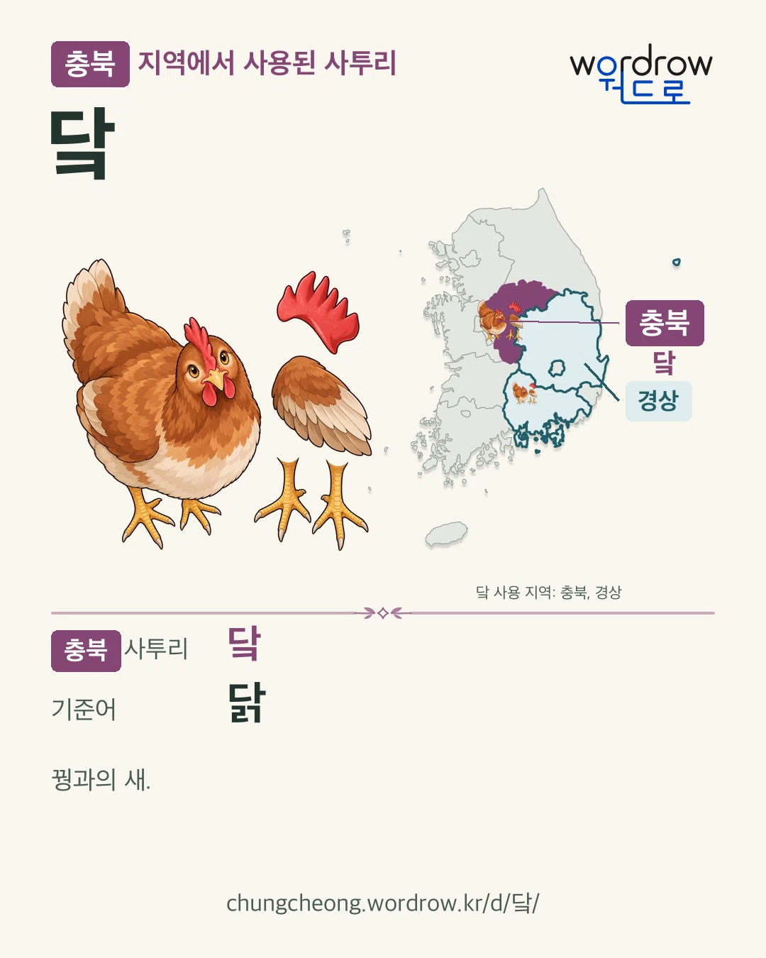 충북 지역에서 사용된 사투리 ‘닼’. 기준어: 닭. 기록 지역을 표시한 카툰 삽화와 지도 카드.
