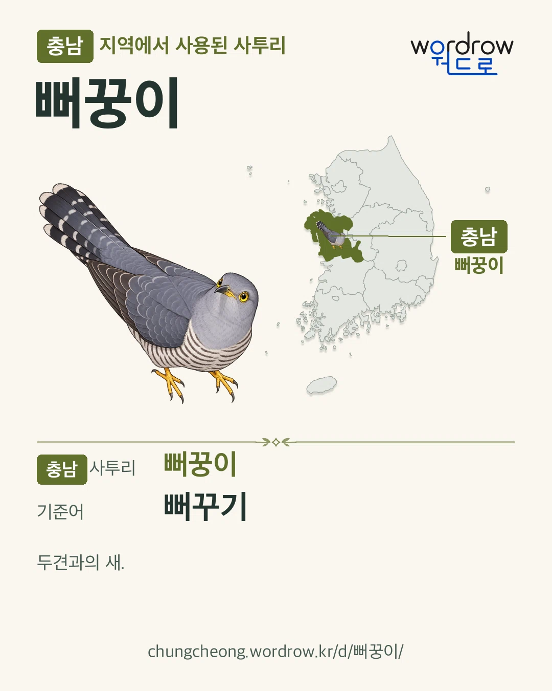 충남 지역에서 사용된 사투리 ‘뻐꿍이’. 기준어: 뻐꾸기. 기록 지역을 표시한 카툰 삽화와 지도 카드.