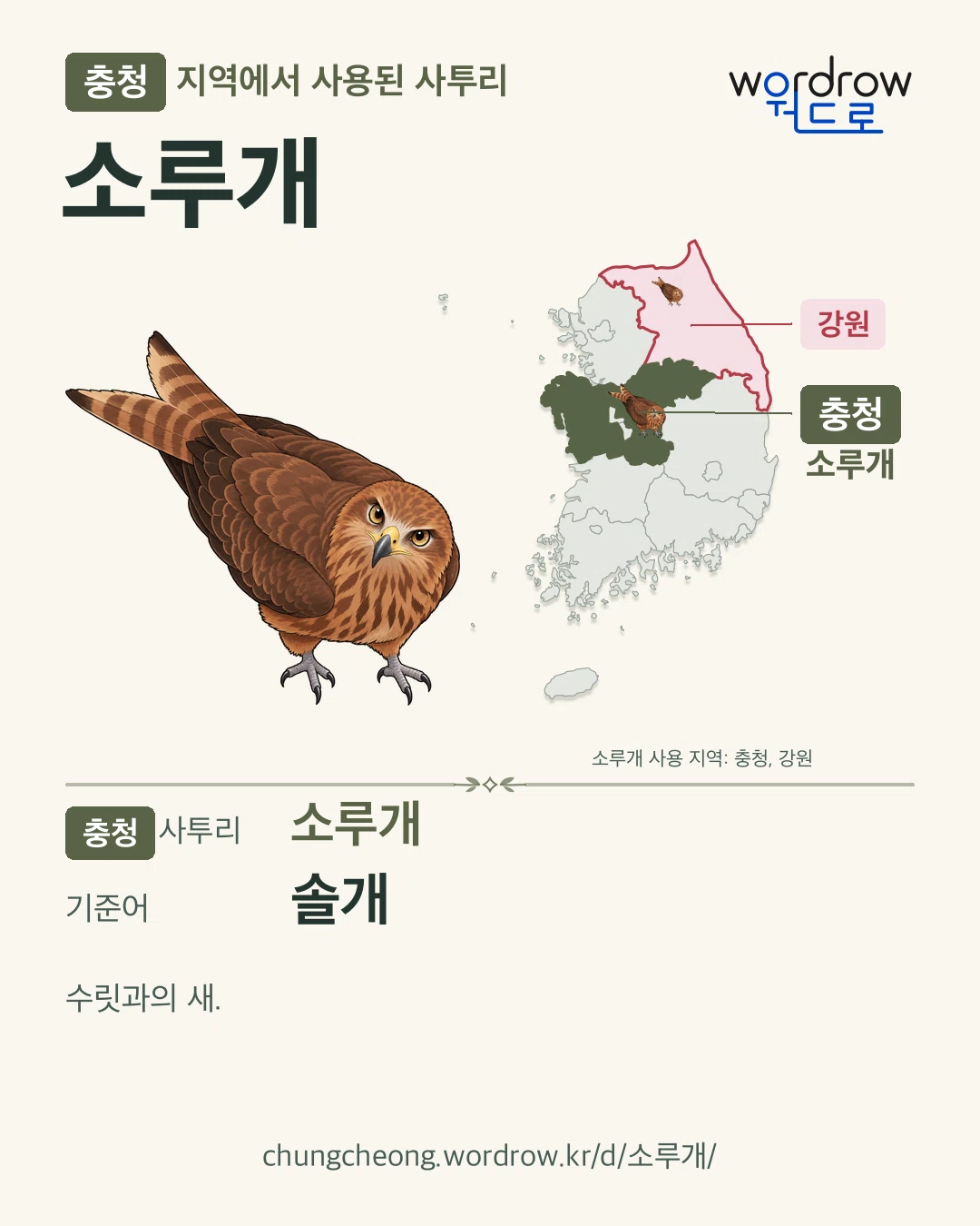 충청 지역에서 사용된 사투리 ‘소루개’. 기준어: 솔개. 기록 지역을 표시한 카툰 삽화와 지도 카드.