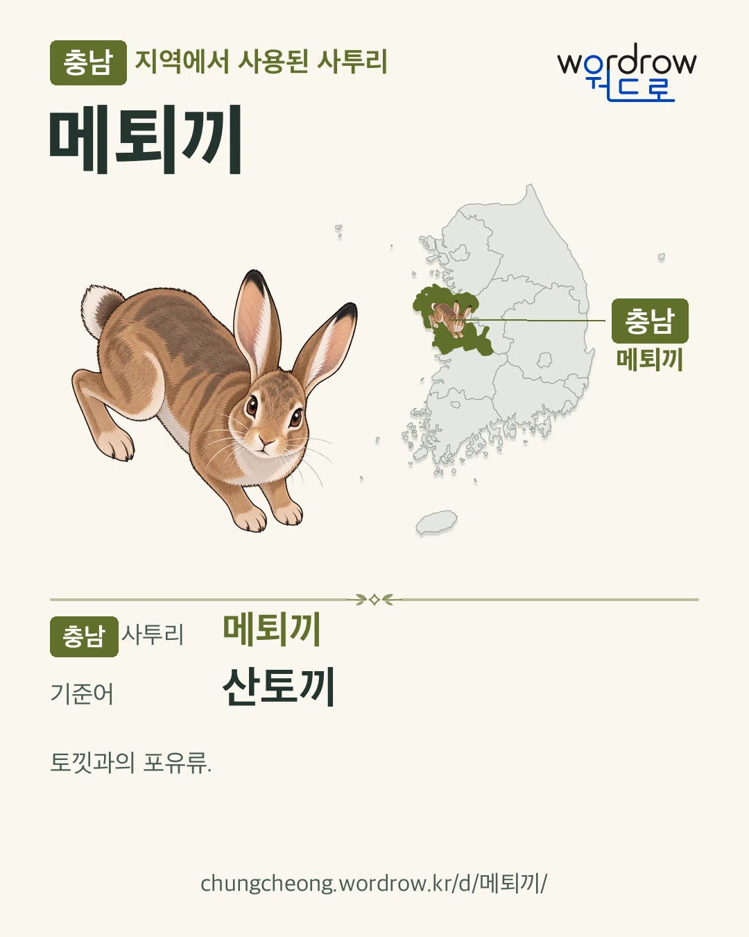 충남 지역에서 사용된 사투리 ‘메퇴끼’. 기준어: 산토끼. 기록 지역을 표시한 카툰 삽화와 지도 카드.