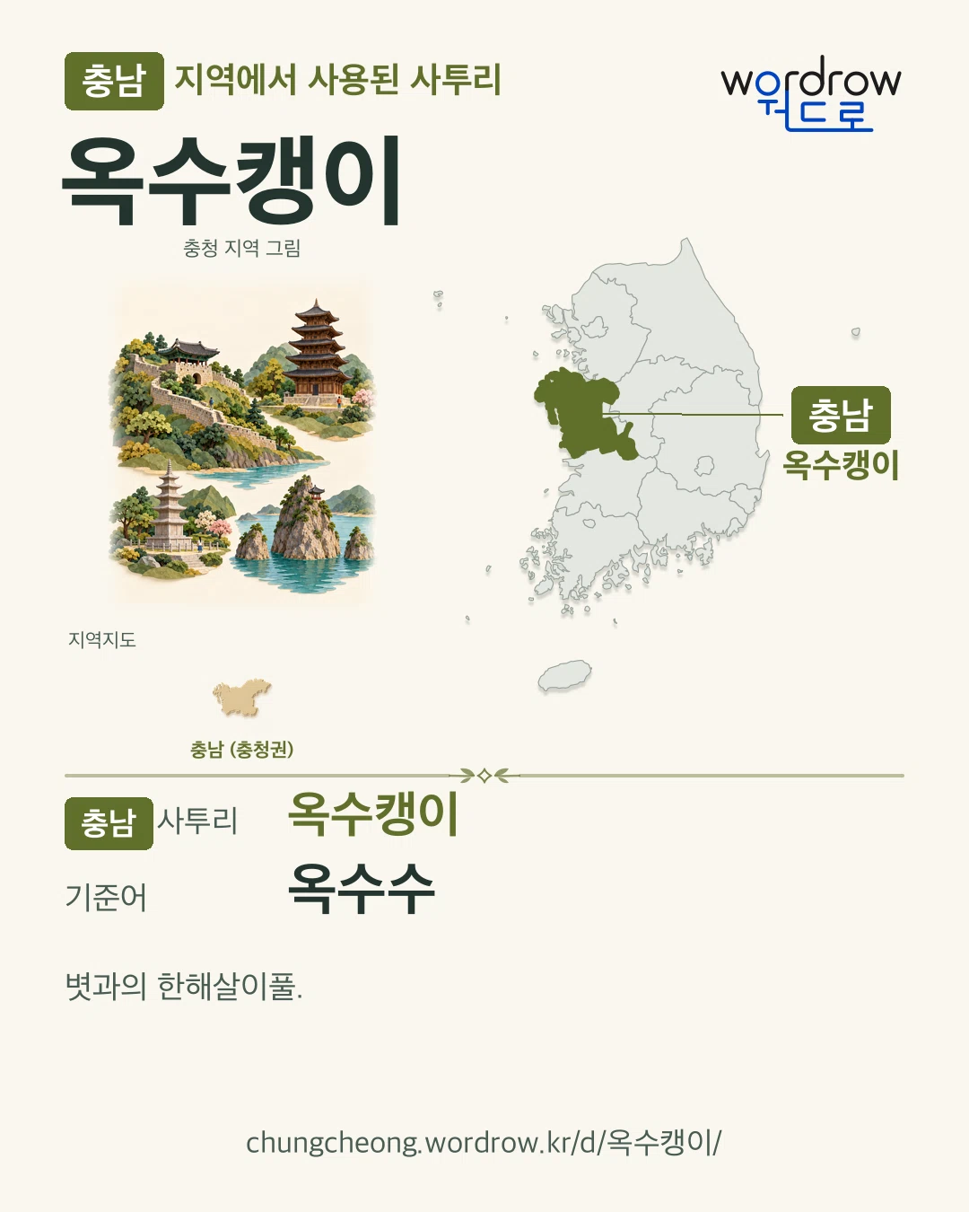 충남 지역에서 사용된 사투리 ‘옥수캥이’. 기준어: 옥수수. 기록 지역을 표시한 지역 그림과 지도 카드.