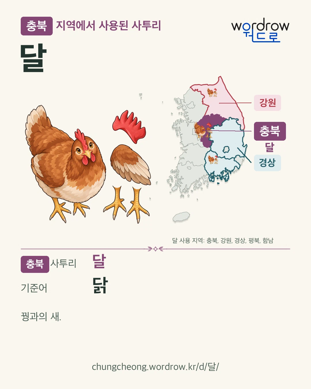 충북 지역에서 사용된 사투리 ‘달’. 기준어: 닭. 기록 지역을 표시한 카툰 삽화와 지도 카드.