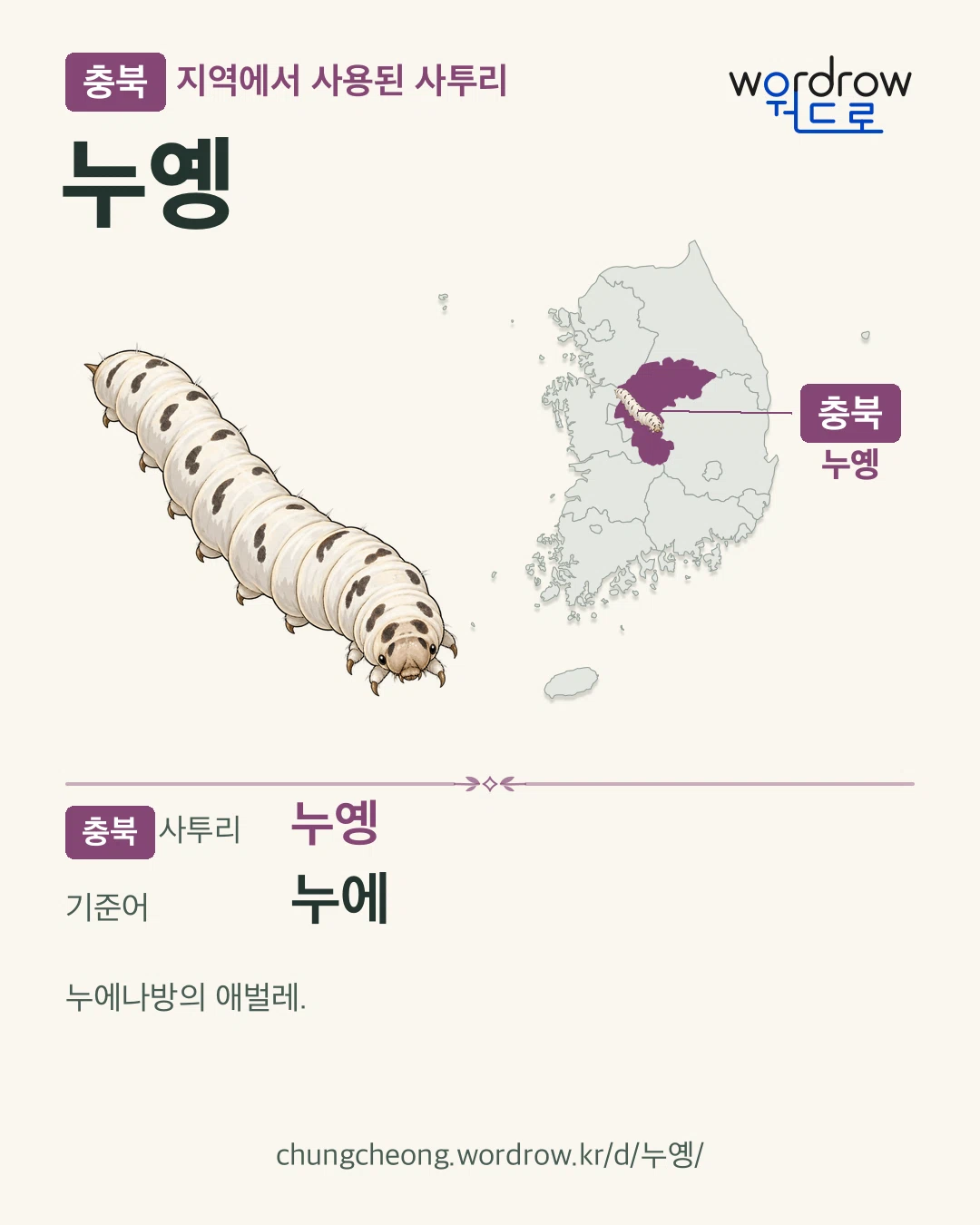 충북 지역에서 사용된 사투리 ‘누옝’. 기준어: 누에. 기록 지역을 표시한 카툰 삽화와 지도 카드.