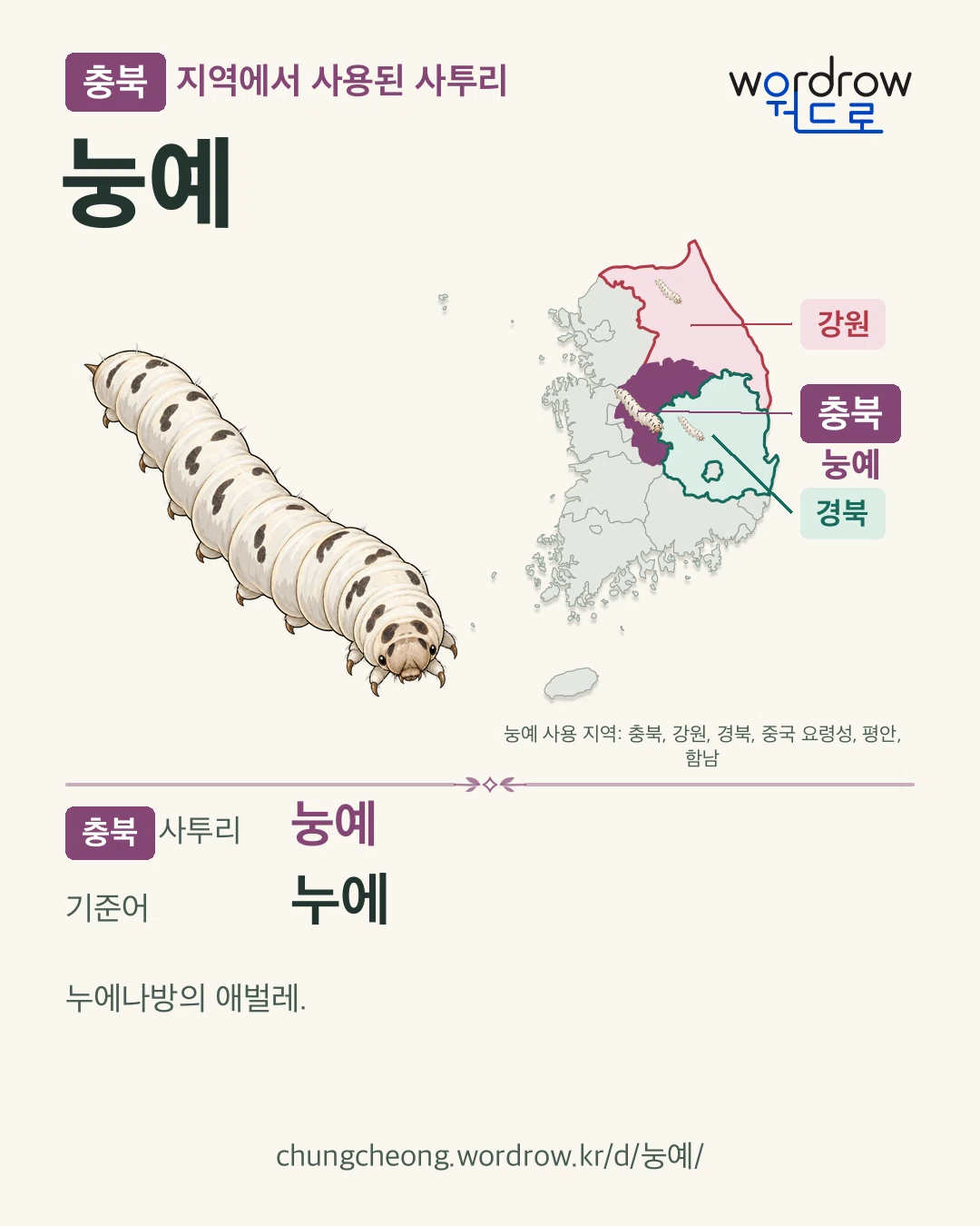 충북 지역에서 사용된 사투리 ‘눙예’. 기준어: 누에. 기록 지역을 표시한 카툰 삽화와 지도 카드.