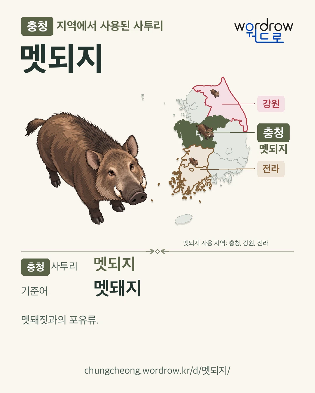 충청 지역에서 사용된 사투리 ‘멧되지’. 기준어: 멧돼지. 기록 지역을 표시한 카툰 삽화와 지도 카드.