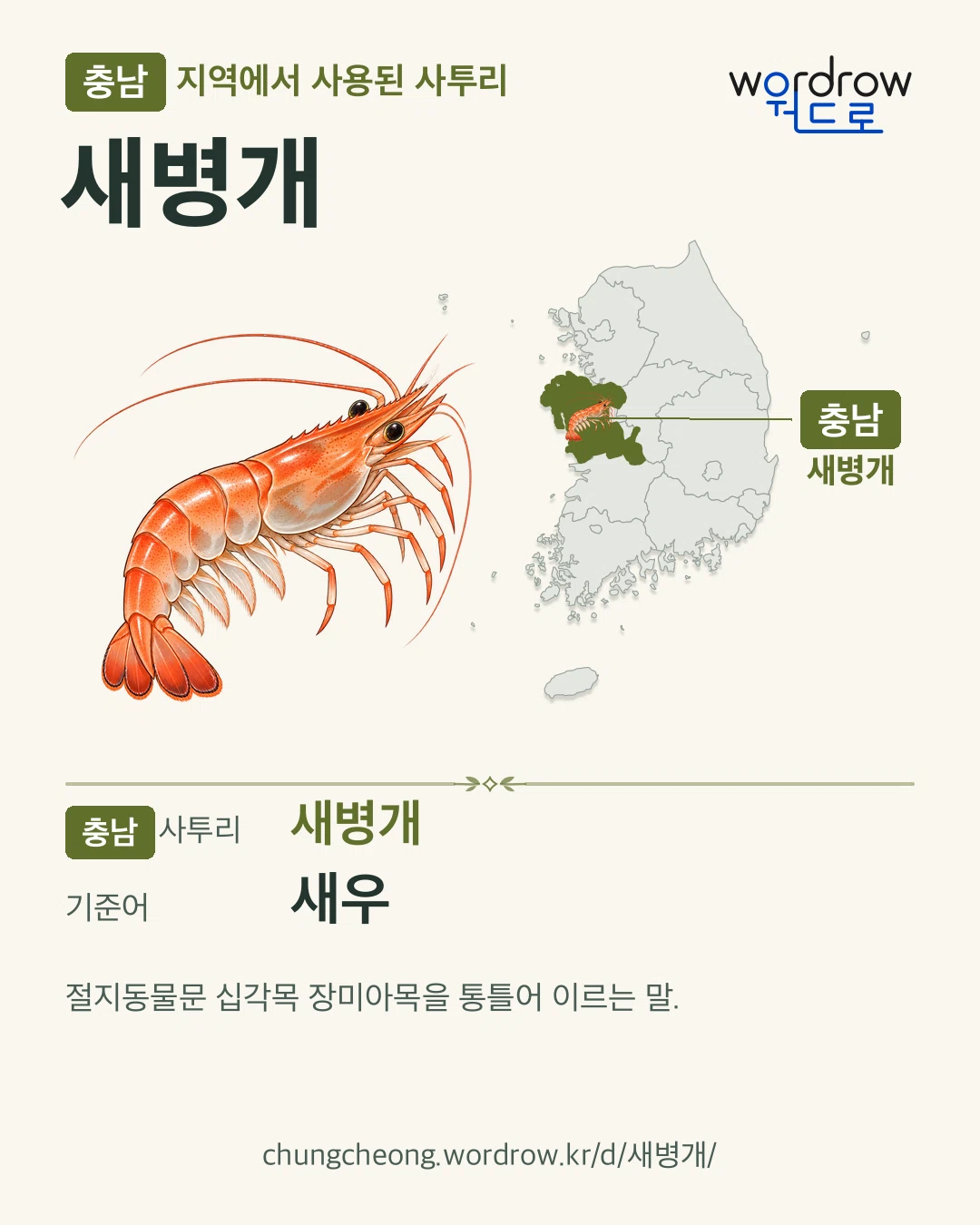 충남 지역에서 사용된 사투리 ‘새병개’. 기준어: 새우. 기록 지역을 표시한 카툰 삽화와 지도 카드.