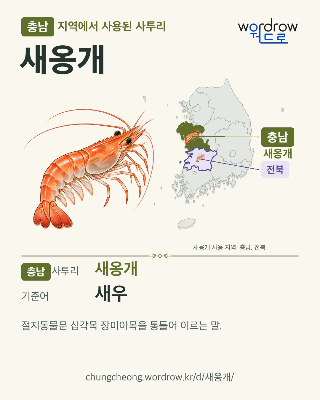 충남 지역에서 사용된 사투리 ‘새옹개’. 기준어: 새우. 기록 지역을 표시한 카툰 삽화와 지도 카드.