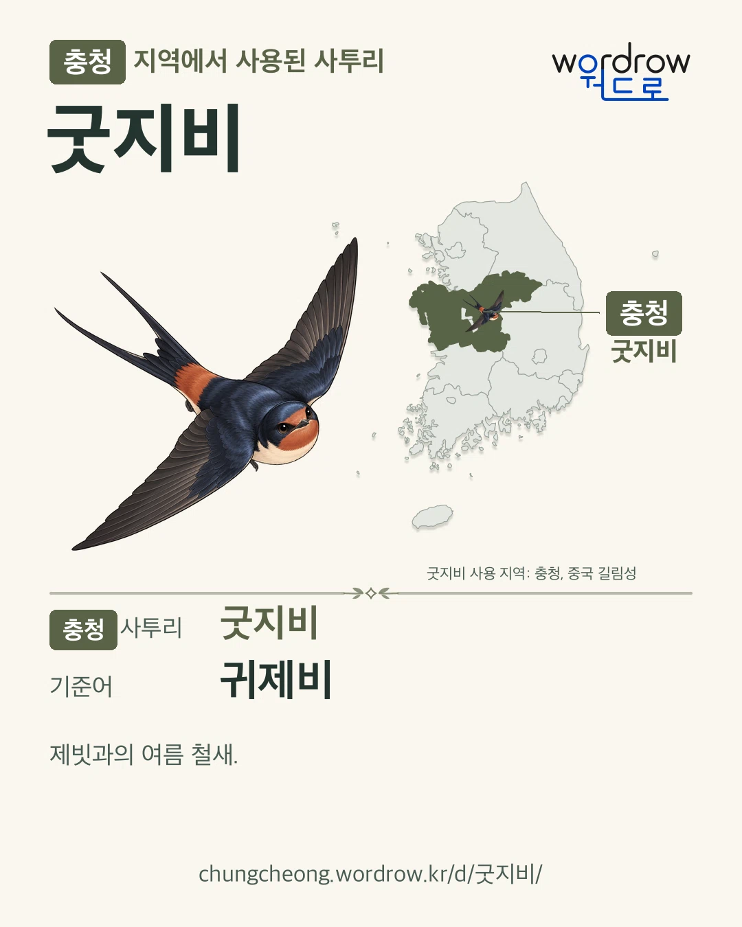충청 지역에서 사용된 사투리 ‘굿지비’. 기준어: 귀제비. 기록 지역을 표시한 카툰 삽화와 지도 카드.