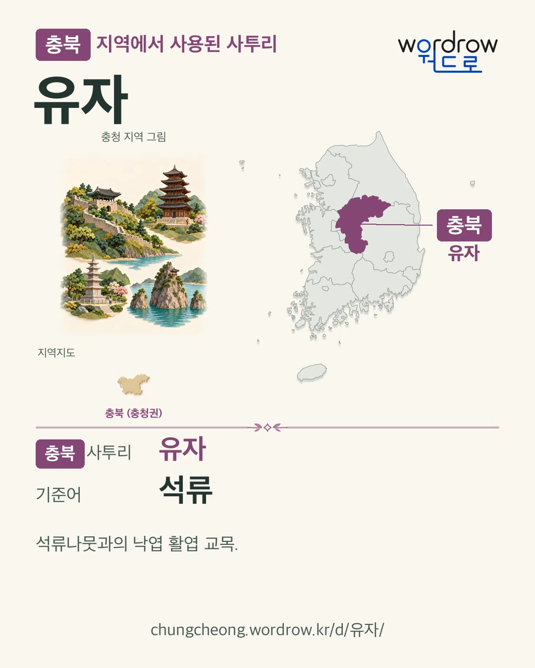 충북 지역에서 사용된 사투리 ‘유자’. 기준어: 석류. 기록 지역을 표시한 지역 그림과 지도 카드.