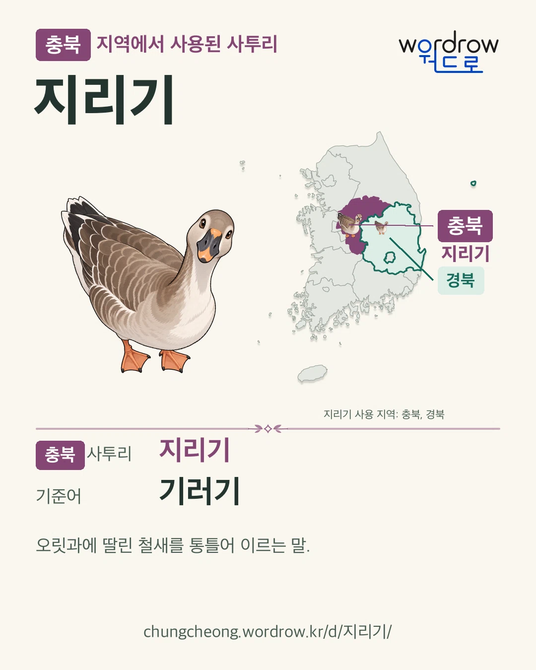 충북 지역에서 사용된 사투리 ‘지리기’. 기준어: 기러기. 기록 지역을 표시한 카툰 삽화와 지도 카드.
