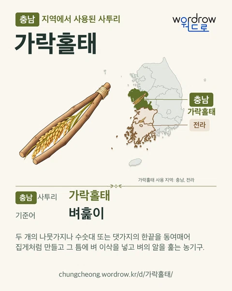 충남 지역에서 사용된 사투리 ‘가락홀태’. 기준어: 벼훑이. 기록 지역을 표시한 카툰 삽화와 지도 카드.