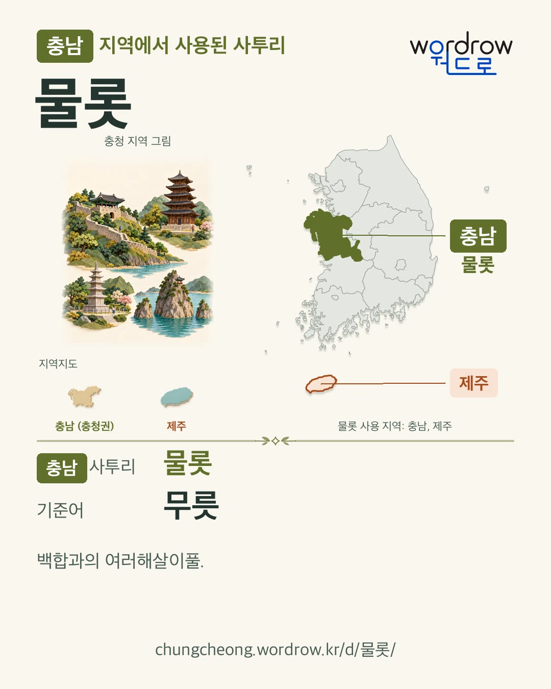 충남 지역에서 사용된 사투리 ‘물롯’. 기준어: 무릇. 기록 지역을 표시한 지역 그림과 지도 카드.
