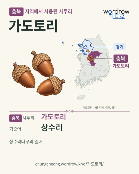 충북 지역에서 사용된 사투리 ‘가도토리’. 기준어: 상수리. 기록 지역을 표시한 카툰 삽화와 지도 카드.