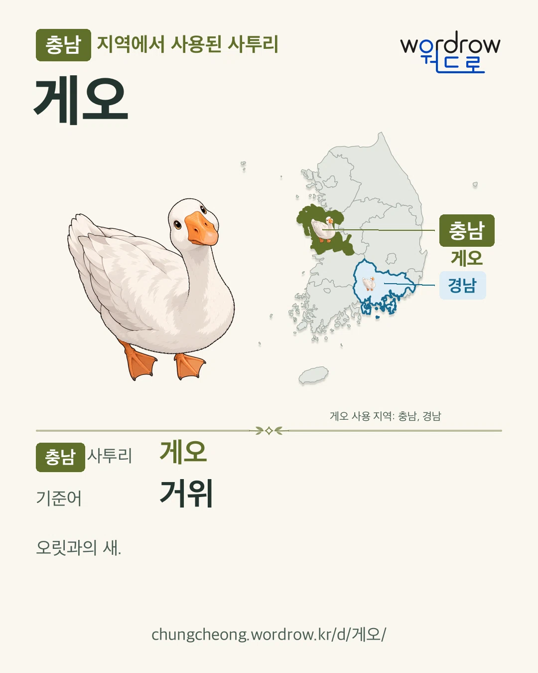 충남 지역에서 사용된 사투리 ‘게오’. 기준어: 거위. 기록 지역을 표시한 카툰 삽화와 지도 카드.