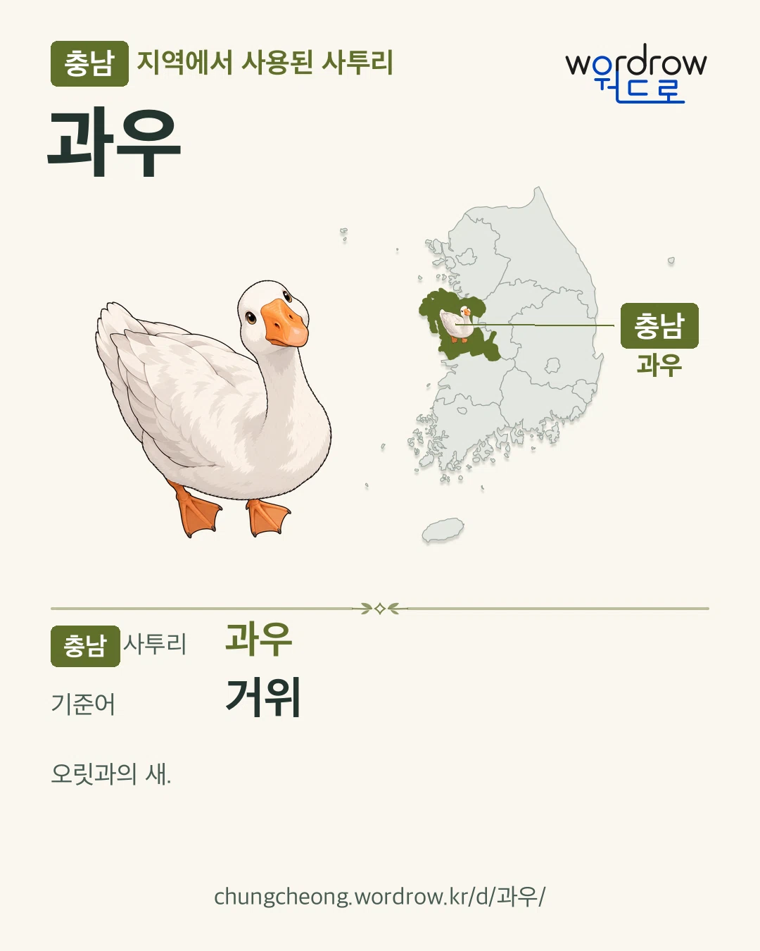 충남 지역에서 사용된 사투리 ‘과우’. 기준어: 거위. 기록 지역을 표시한 카툰 삽화와 지도 카드.
