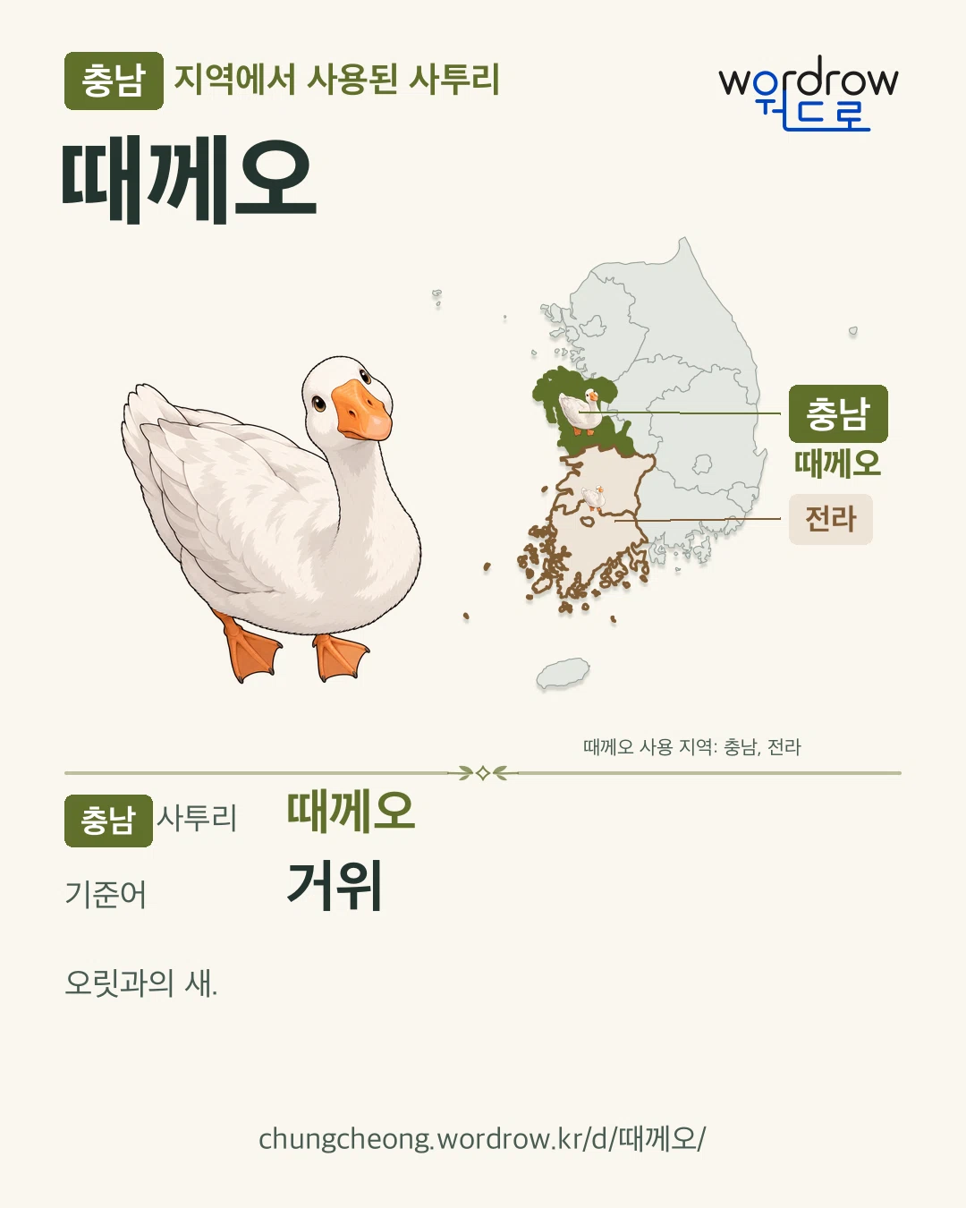 충남 지역에서 사용된 사투리 ‘때께오’. 기준어: 거위. 기록 지역을 표시한 카툰 삽화와 지도 카드.