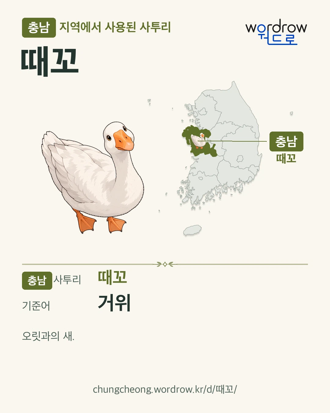 충남 지역에서 사용된 사투리 ‘때꼬’. 기준어: 거위. 기록 지역을 표시한 카툰 삽화와 지도 카드.