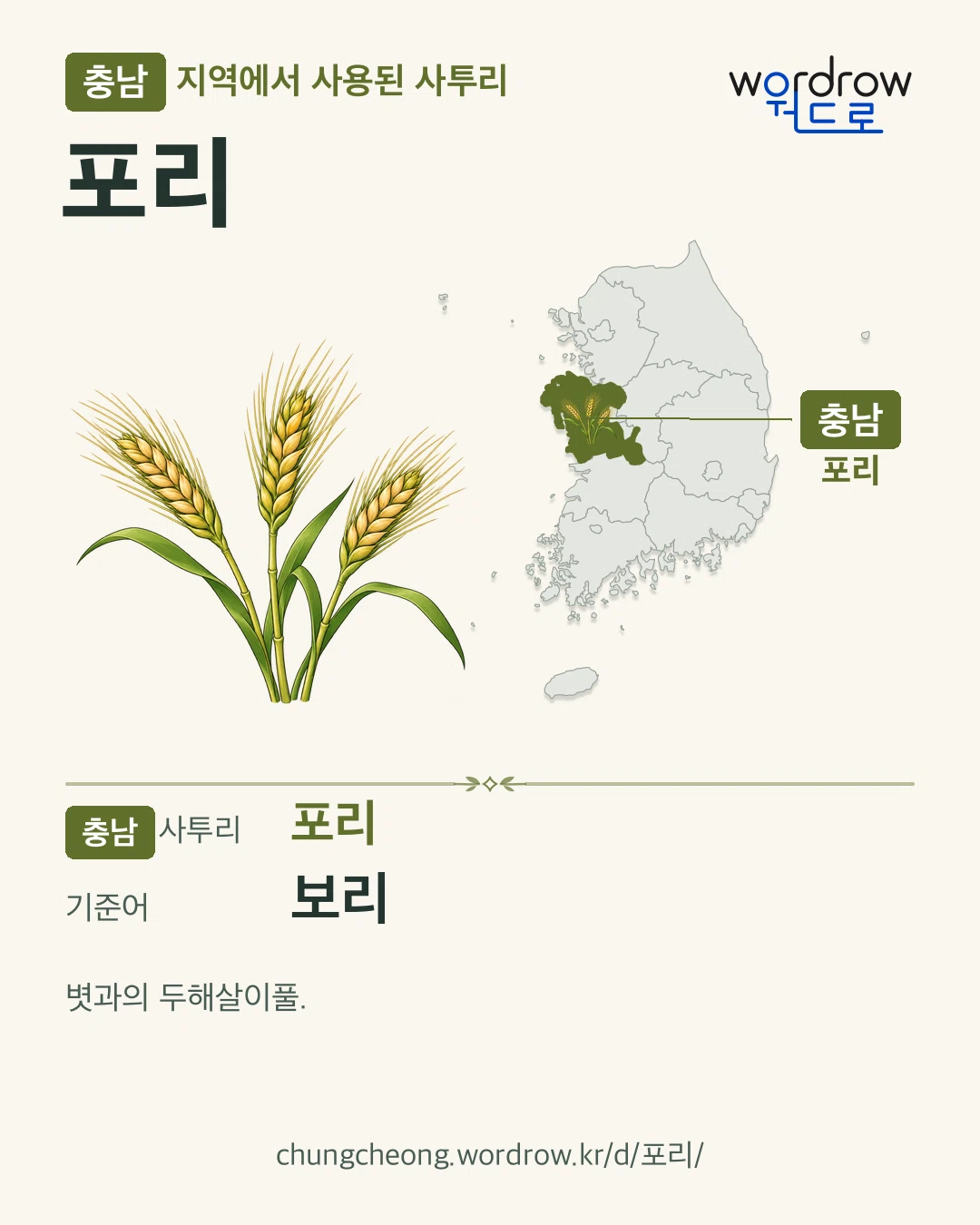 충남 지역에서 사용된 사투리 ‘포리’. 기준어: 보리. 기록 지역을 표시한 카툰 삽화와 지도 카드.
