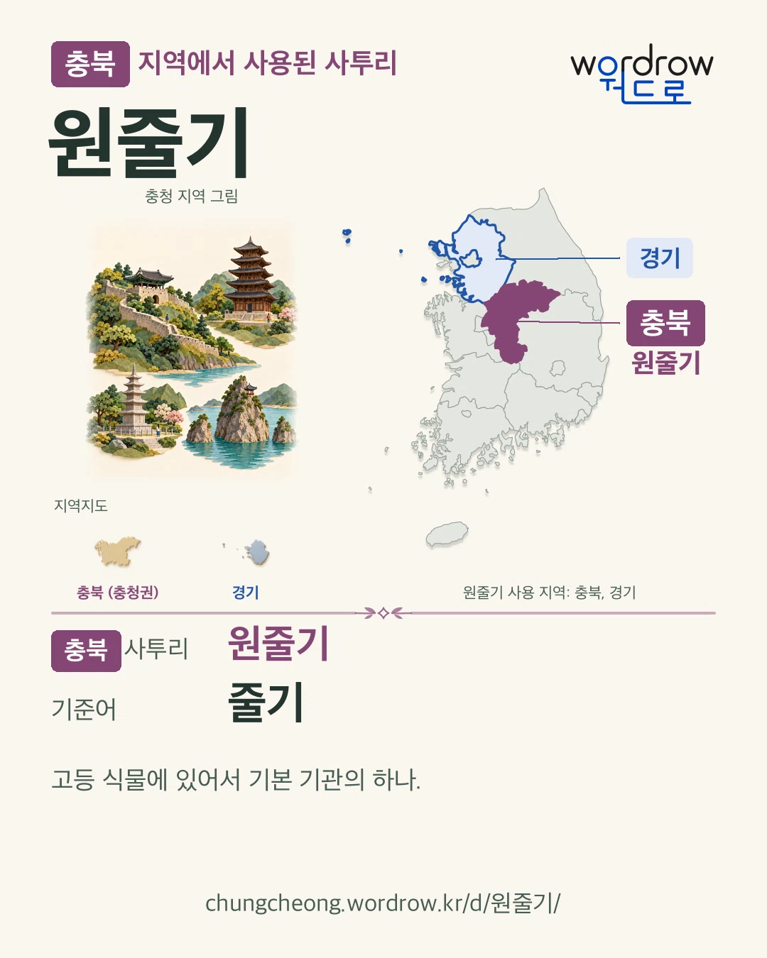 충북 지역에서 사용된 사투리 ‘원줄기’. 기준어: 줄기. 기록 지역을 표시한 지역 그림과 지도 카드.