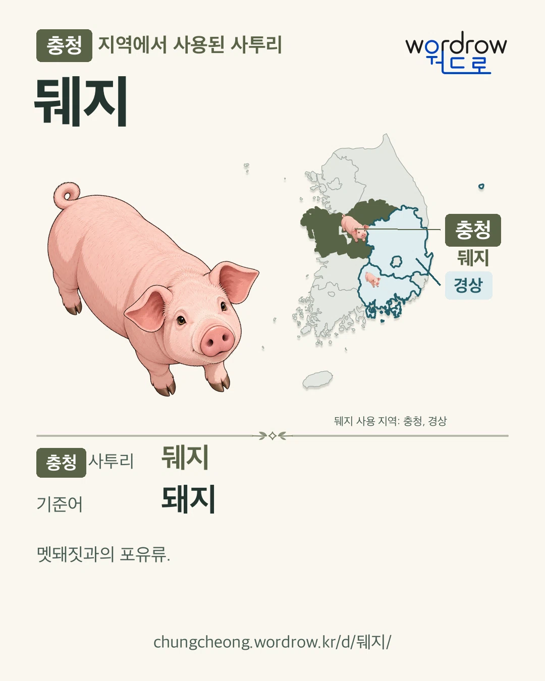 충청 지역에서 사용된 사투리 ‘뒈지’. 기준어: 돼지. 기록 지역을 표시한 카툰 삽화와 지도 카드.