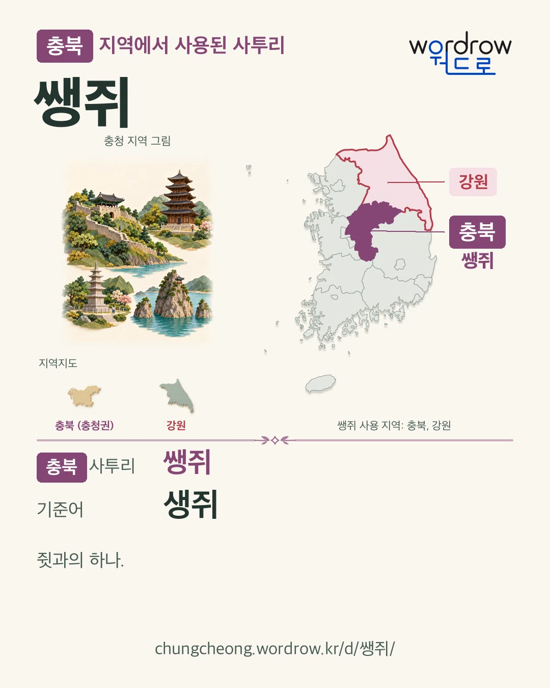 충북 지역에서 사용된 사투리 ‘쌩쥐’. 기준어: 생쥐. 기록 지역을 표시한 지역 그림과 지도 카드.