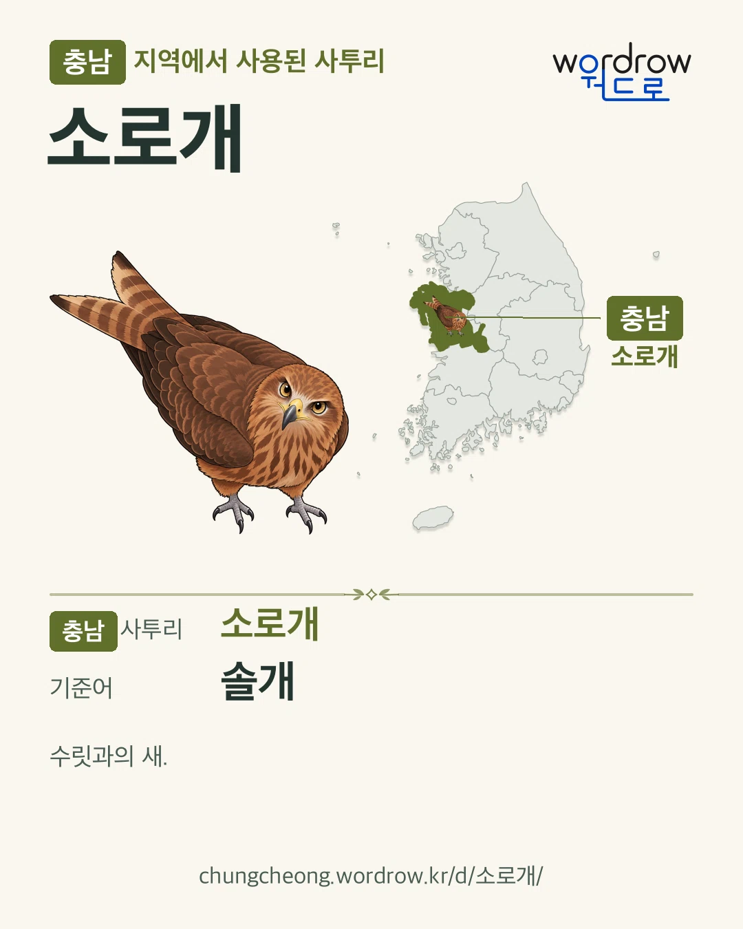 충남 지역에서 사용된 사투리 ‘소로개’. 기준어: 솔개. 기록 지역을 표시한 카툰 삽화와 지도 카드.