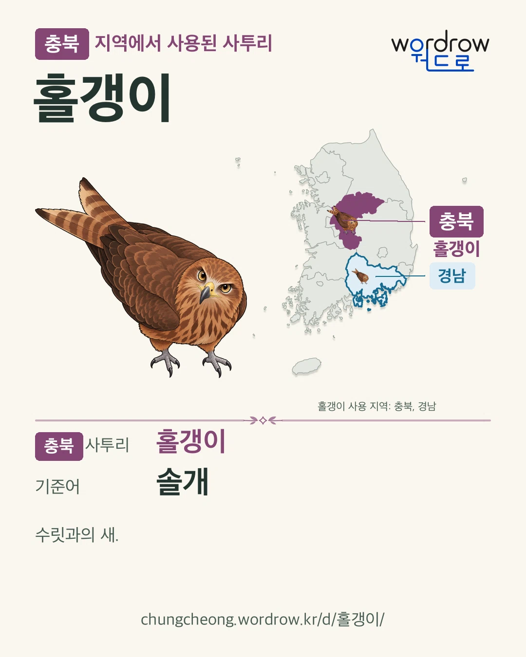 충북 지역에서 사용된 사투리 ‘홀갱이’. 기준어: 솔개. 기록 지역을 표시한 카툰 삽화와 지도 카드.