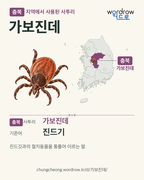 충북 지역에서 사용된 사투리 ‘가보진데’. 기준어: 진드기. 기록 지역을 표시한 카툰 삽화와 지도 카드.