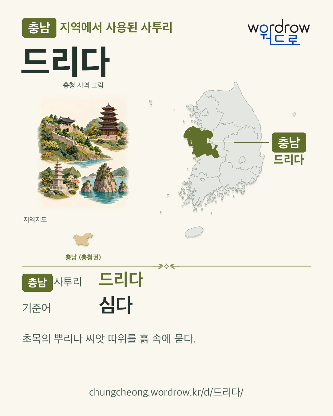 충남 지역에서 사용된 사투리 ‘드리다’. 기준어: 심다. 기록 지역을 표시한 지역 그림과 지도 카드.