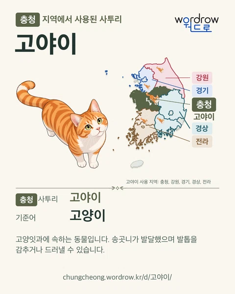 충청 지역에서 사용된 사투리 ‘고야이’. 기준어: 고양이. 기록 지역을 표시한 카툰 삽화와 지도 카드.