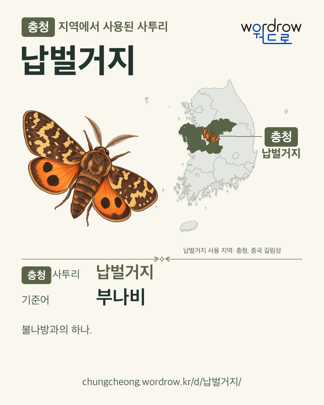충청 지역에서 사용된 사투리 ‘납벌거지’. 기준어: 부나비. 기록 지역을 표시한 카툰 삽화와 지도 카드.