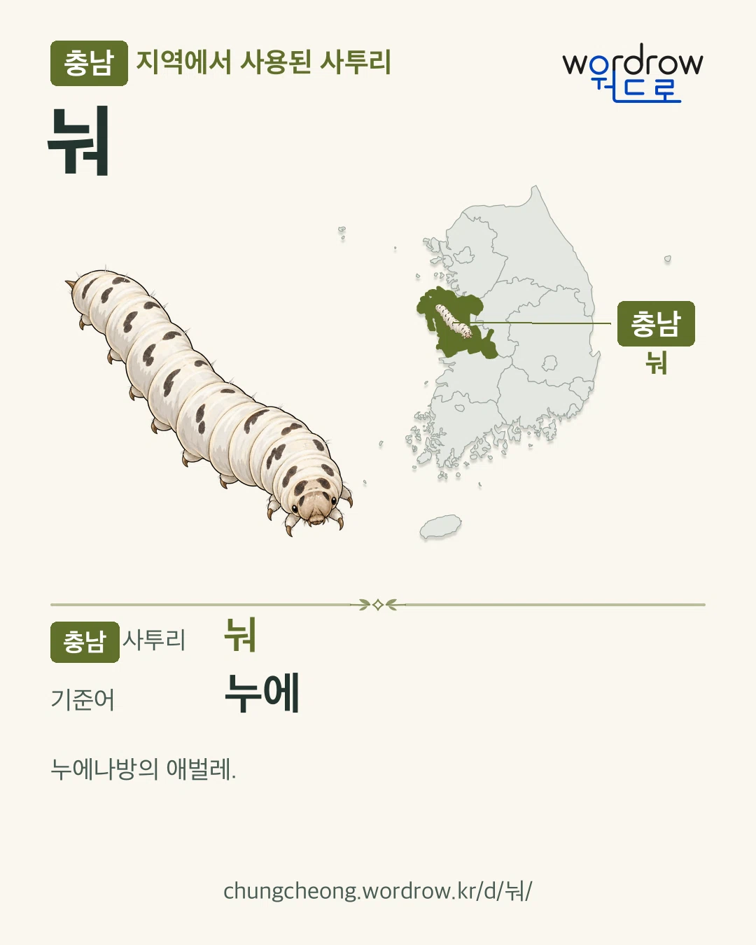 충남 지역에서 사용된 사투리 ‘눠’. 기준어: 누에. 기록 지역을 표시한 카툰 삽화와 지도 카드.