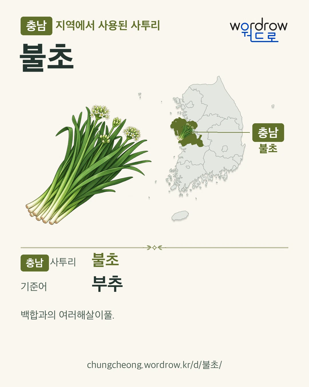 충남 지역에서 사용된 사투리 ‘불초’. 기준어: 부추. 기록 지역을 표시한 카툰 삽화와 지도 카드.
