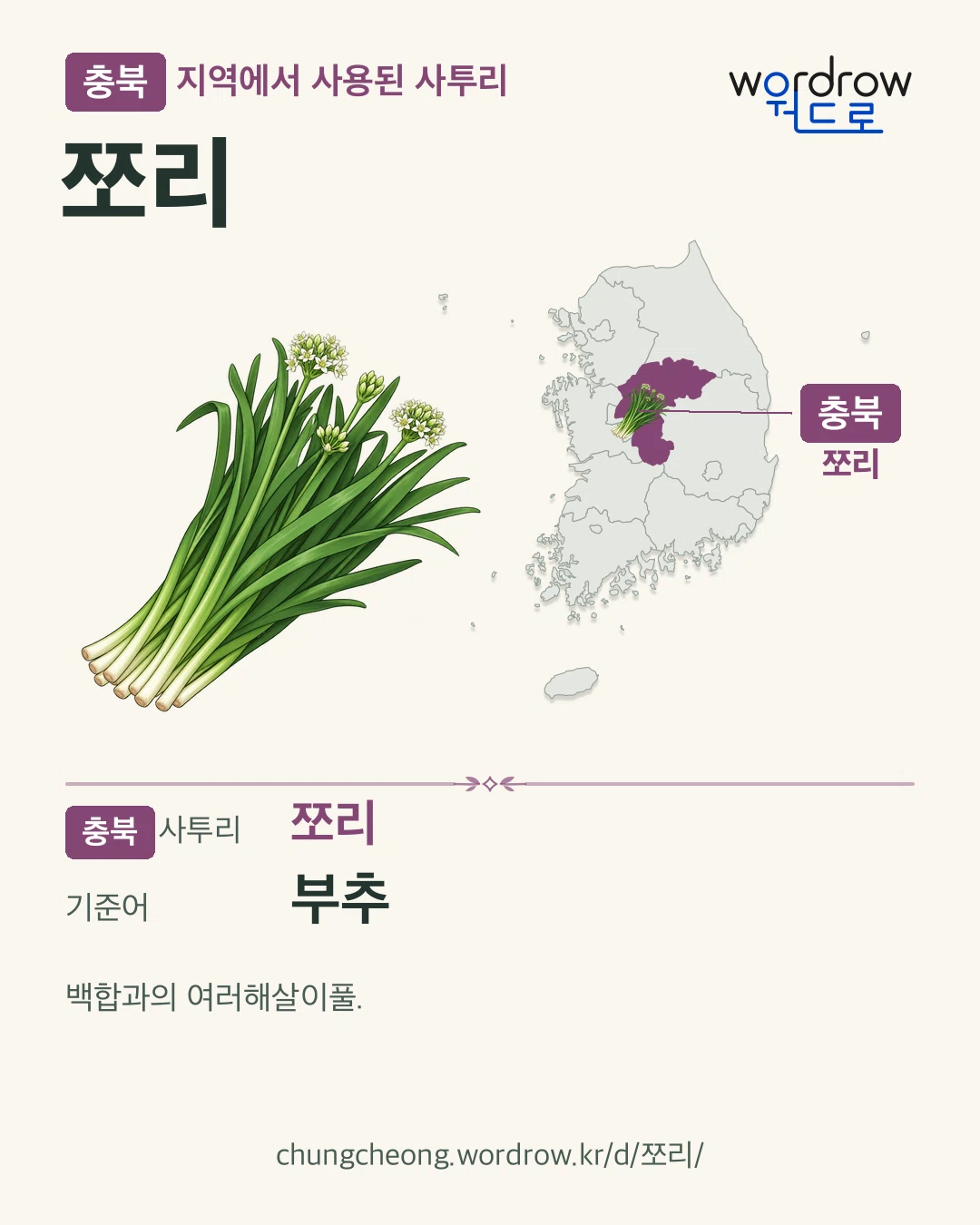 충북 지역에서 사용된 사투리 ‘쪼리’. 기준어: 부추. 기록 지역을 표시한 카툰 삽화와 지도 카드.